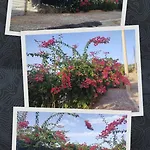 La Perla Di Buffari Ciappina Σπίτι διακοπών
